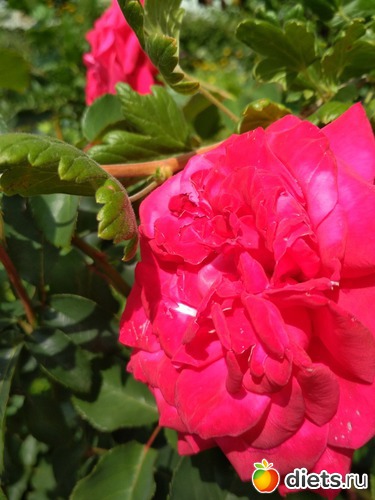 6 ����: ������ ���� 2018-2