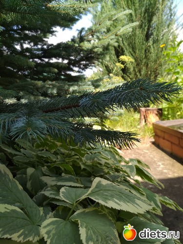 8 ����: ������ ���� 2018-2