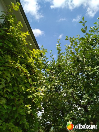 9 ����: ������ ���� 2018-2