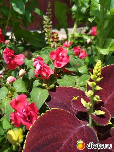 10 фото: Отпуск Июнь 2018-2