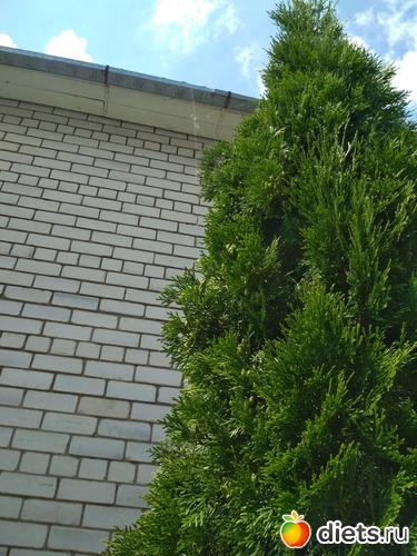 11 ����: ������ ���� 2018-2