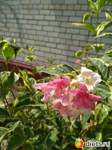 13 ����: ������ ���� 2018-2