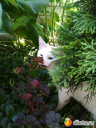 3 ����: ������ �� ���� ���� 2018