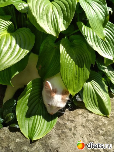 5 ����: ������ �� ���� ���� 2018