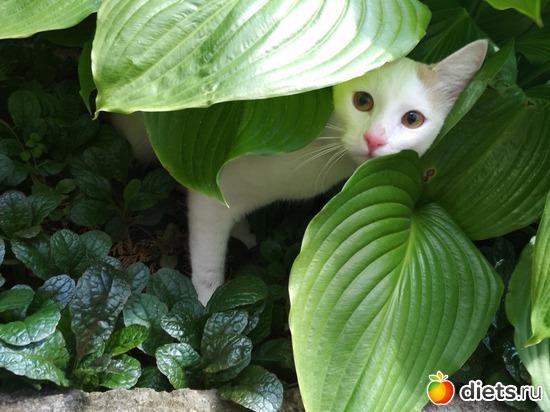 6 ����: ������ �� ���� ���� 2018