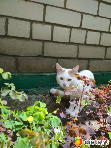 11 ����: ������ �� ���� ���� 2018