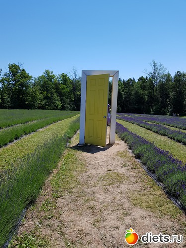 4 ����: ���� � �������