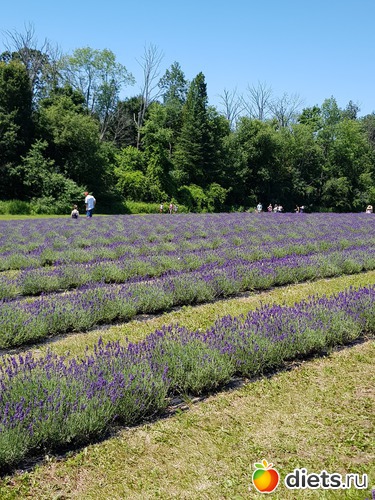 6 ����: ���� � �������