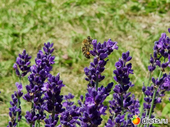 7 ����: ���� � �������