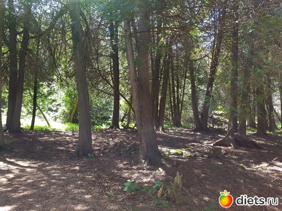 8 ����: ���� � �������