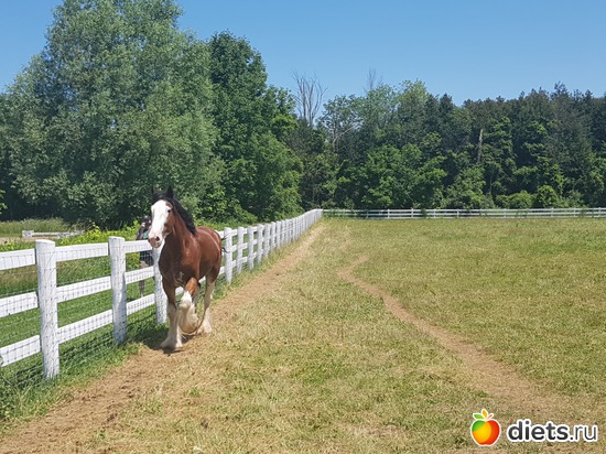 9 ����: ���� � �������