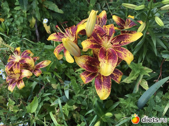 145 фото: То, что я люблю