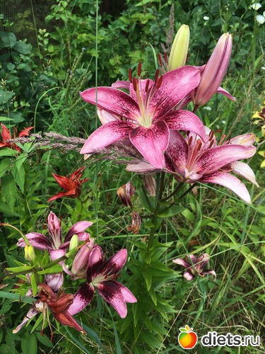 146 фото: То, что я люблю