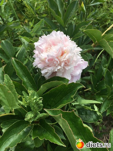 148 фото: То, что я люблю