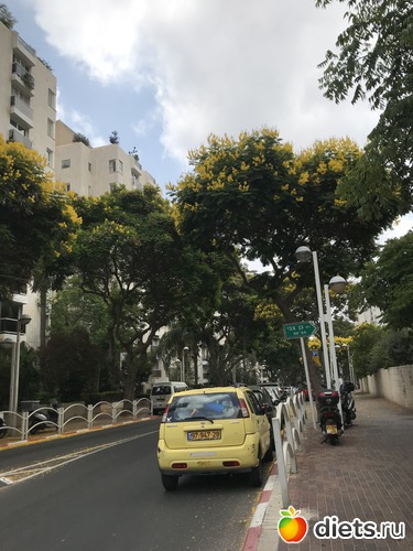 163 ����: ���� 2018