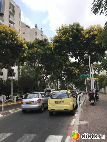 164 ����: ���� 2018