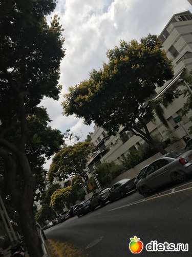 165 ����: ���� 2018