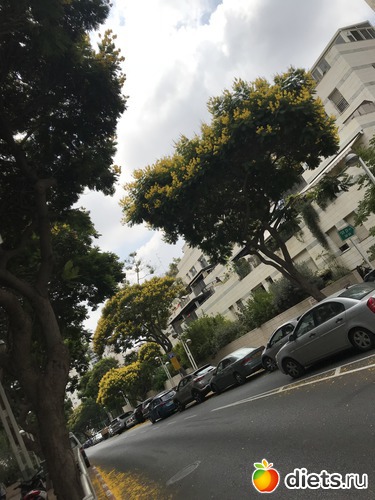 166 ����: ���� 2018