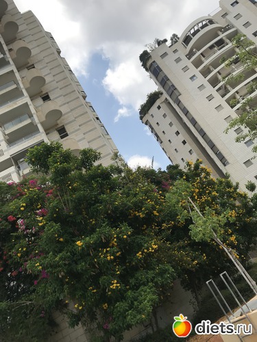 156 фото: Июль 2018