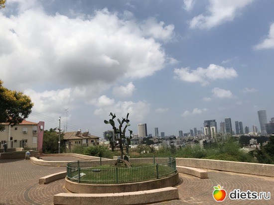 167 ����: ���� 2018