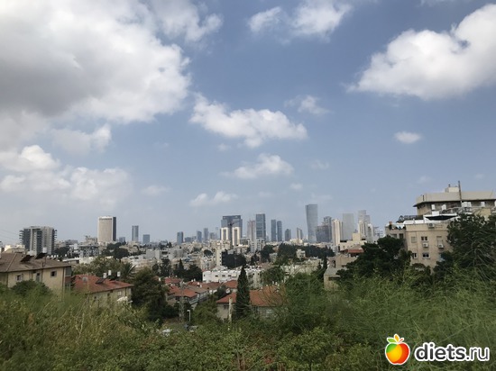 168 ����: ���� 2018