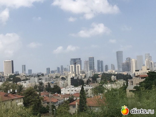 169 ����: ���� 2018