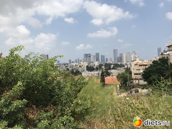 171 ����: ���� 2018