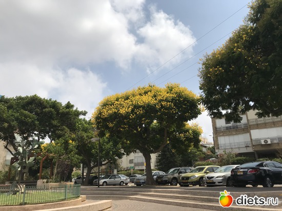 172 ����: ���� 2018