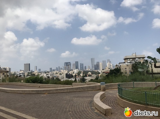 173 ����: ���� 2018