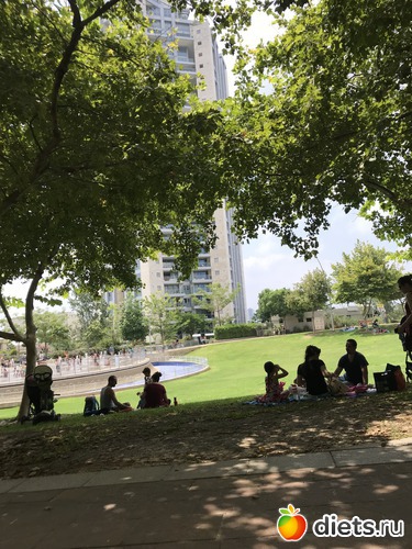 158 ����: ���� 2018