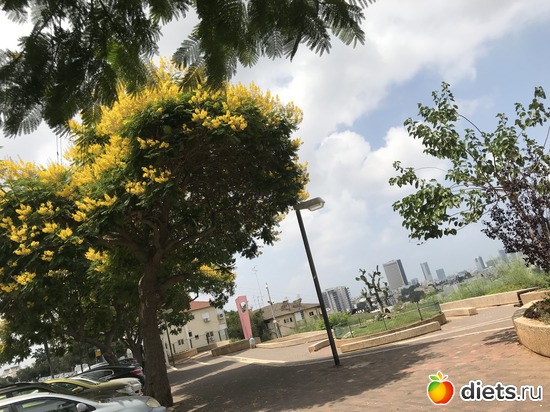 176 ����: ���� 2018