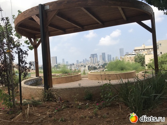 177 ����: ���� 2018