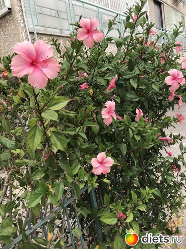 178 ����: ���� 2018