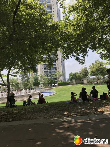 159 ����: ���� 2018