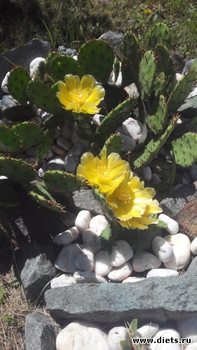 4 ����: �������)))