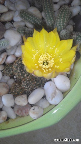 6 ����: �������)))