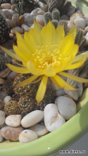 8 ����: �������)))