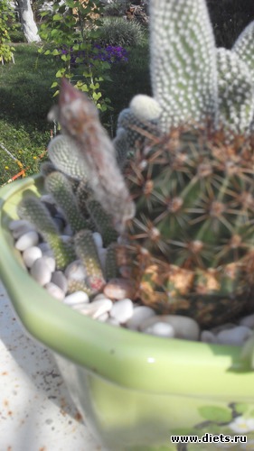 9 ����: �������)))