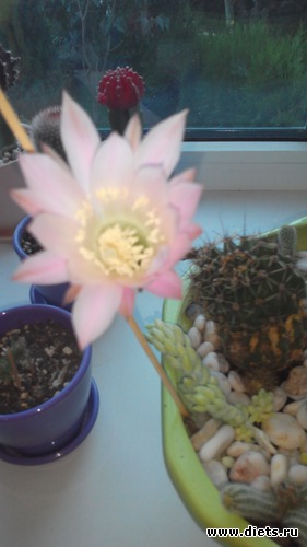 10 ����: �������)))