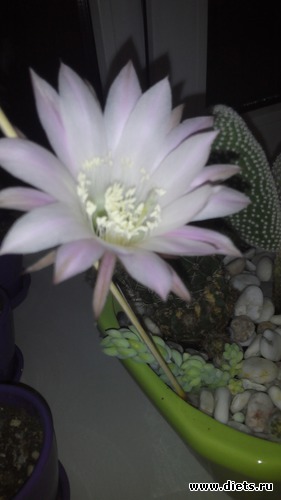 13 ����: �������)))