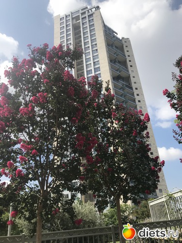 139 ����: ���� 2018