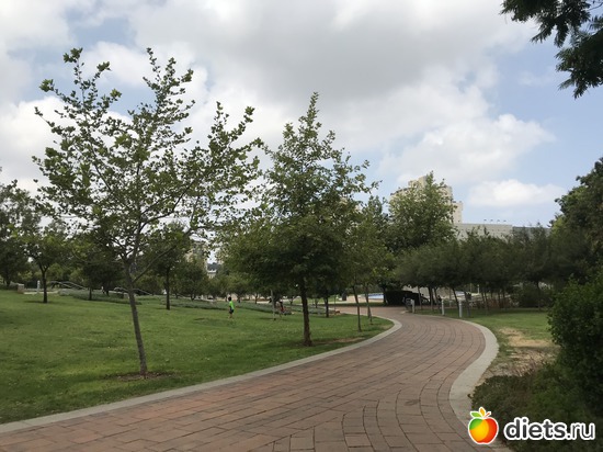 161 ����: ���� 2018