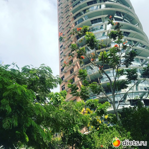 148 ����: ���� 2018