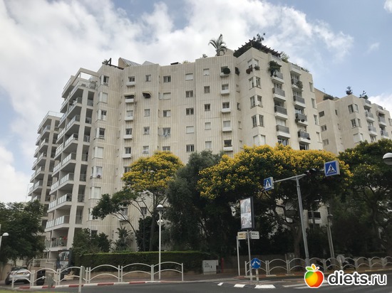 162 ����: ���� 2018