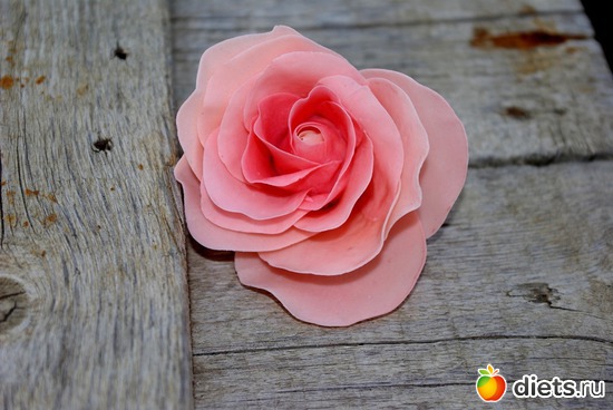 14 ����: �������� � ��������� ����������