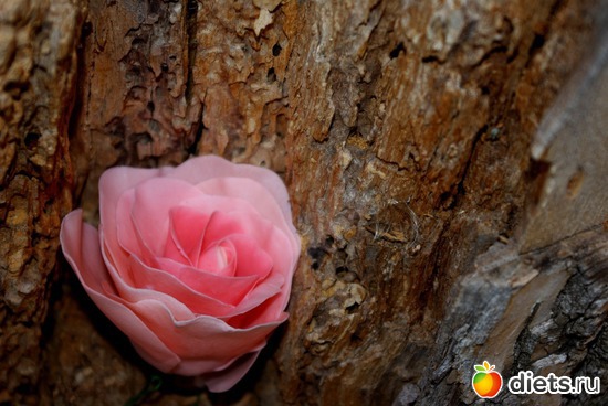 15 ����: �������� � ��������� ����������