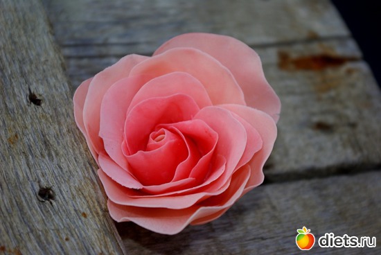 18 фото: Сахарная и вафельная флористика