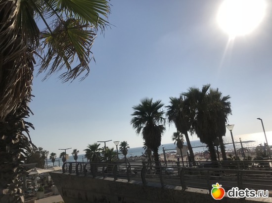 40 ����: ���� 2018 � 16.07