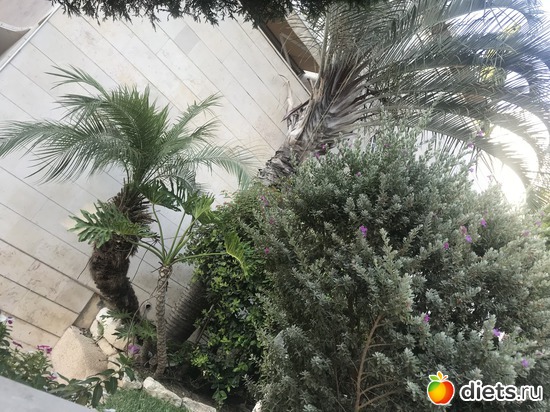 110 ����: ���� 2018 � 16.07