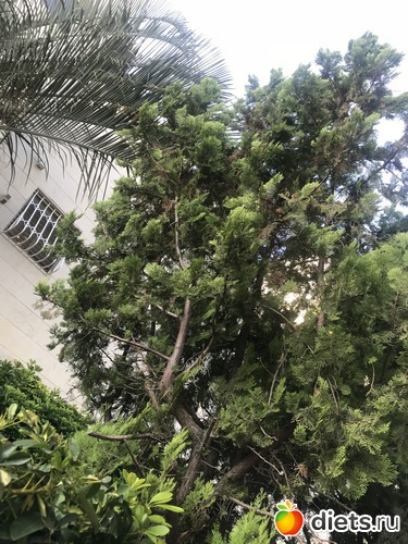 112 ����: ���� 2018 � 16.07